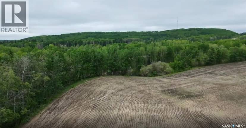 9.97 Acres Near Greenwater Prov Park — photo 4 of 12