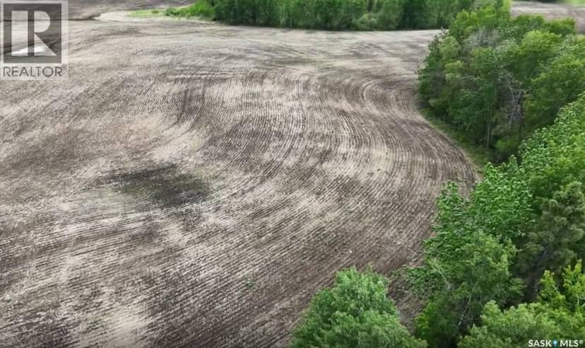 9.97 Acres Near Greenwater Prov Park — photo 8 of 12