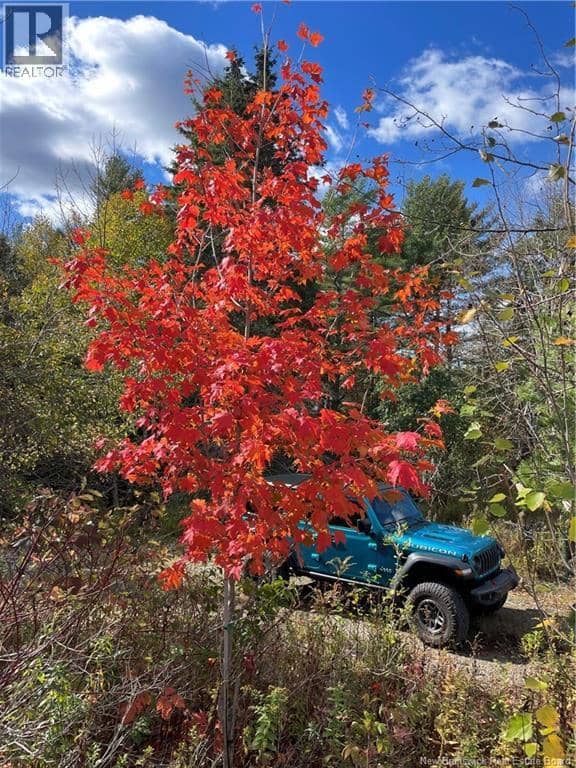 267 Route 850 — photo 17 of 26