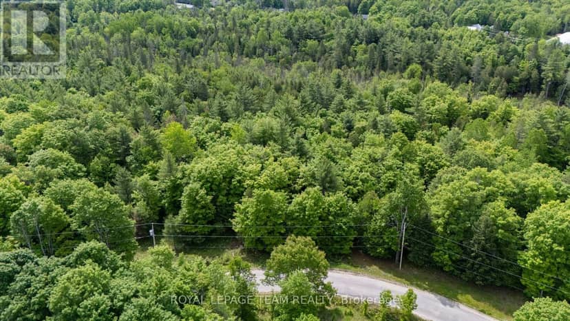 00 Maple Street — photo 13 of 20