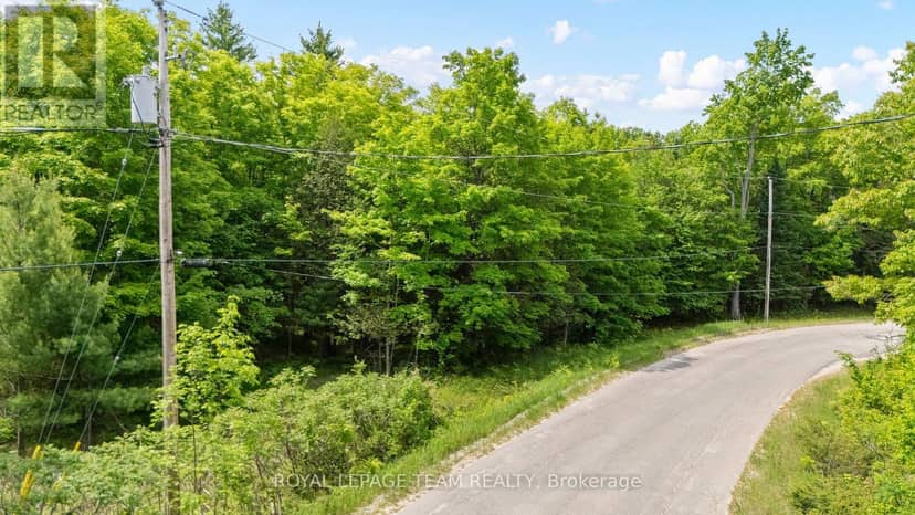 00 Maple Street, Lanark Highlands, photo 2