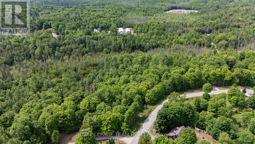 00 Maple Street — photo 14 of 20