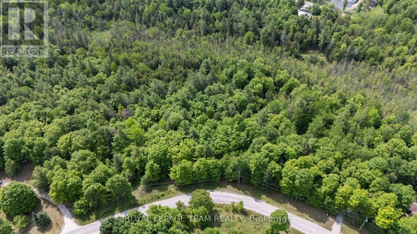 00 Maple Street — photo 19 of 20