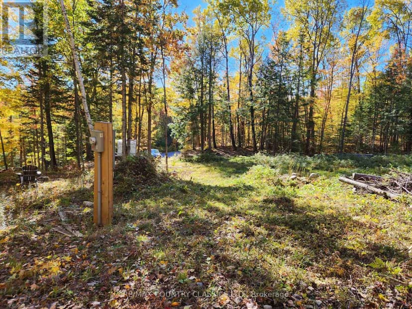 790 Mitchell Road, Madawaska Valley, photo 7