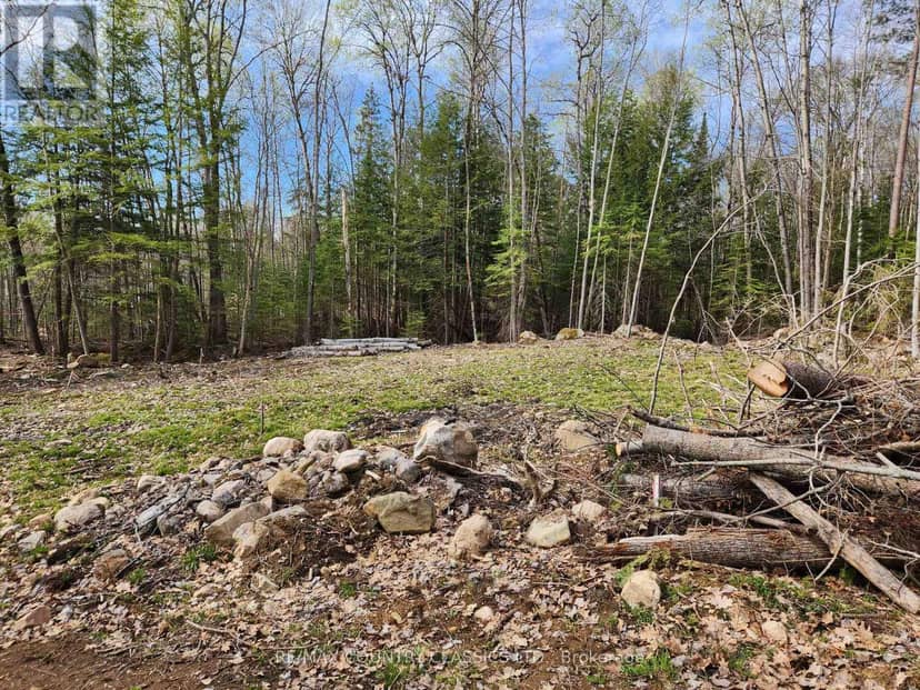 790 Mitchell Road — photo 9 of 17