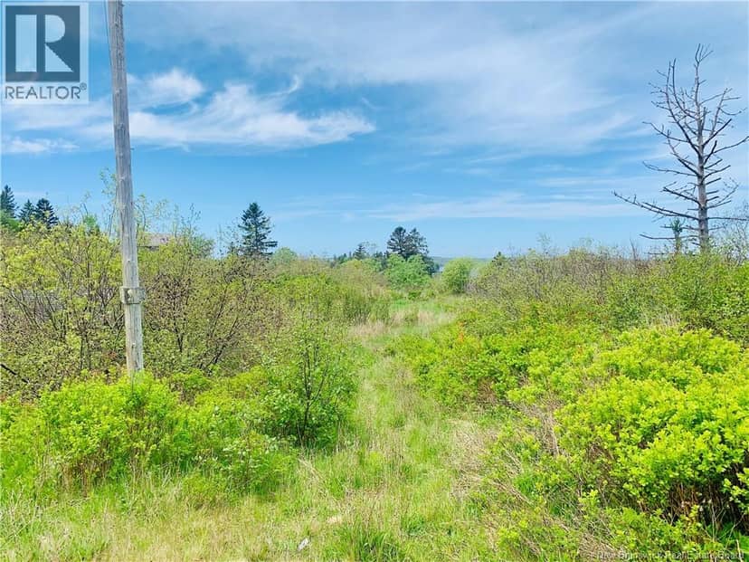 183 Narrows Road, Welshpool, photo 8