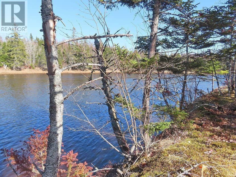Lot5 Lower River Road — photo 20 of 34