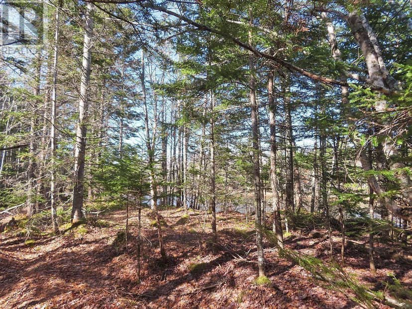 Lot5 Lower River Road — photo 24 of 34