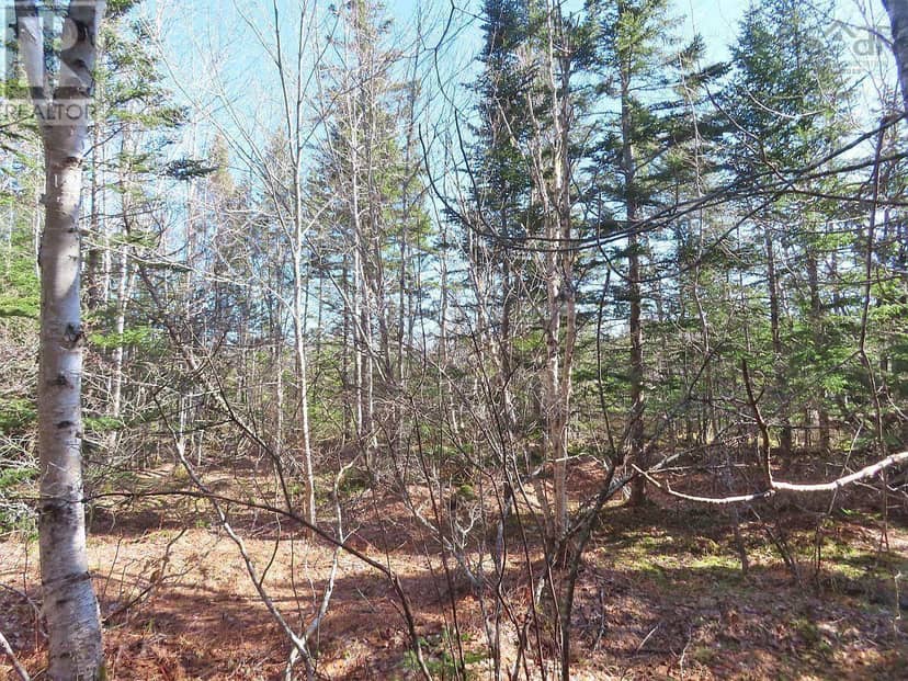 Lot5 Lower River Road — photo 26 of 34