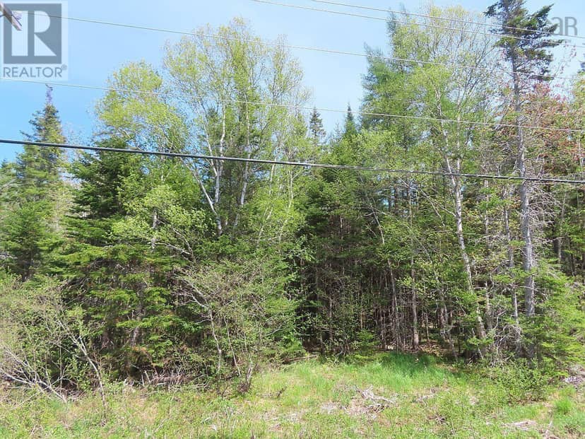 Lot5 Lower River Road — photo 29 of 34