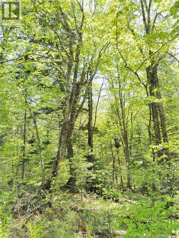 Lot Kintore Road — photo 16 of 25
