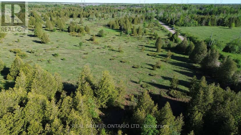 00 William Campbell Road — photo 29 of 31