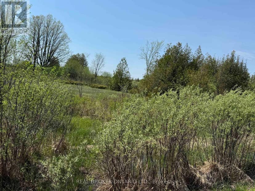 00 William Campbell Road — photo 6 of 31