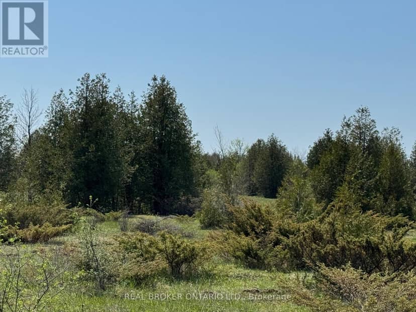 00 William Campbell Road — photo 8 of 31