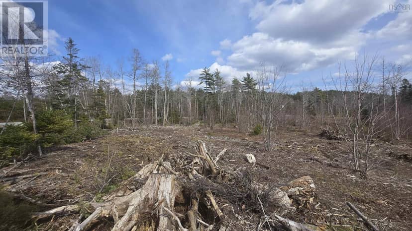 Lot 25-1 Upper Branch Road, Midville Branch, photo 3