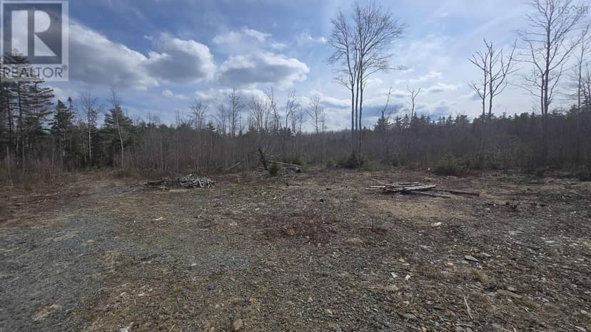 Lot 25-1 Upper Branch Road, Midville Branch, photo 4