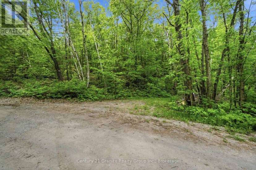 1427 Spar Lake Road — photo 14 of 40