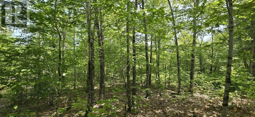 Lot 24-2 East Clifford Road — photo 13 of 31