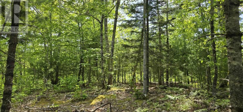 Lot 24-2 East Clifford Road — photo 17 of 31