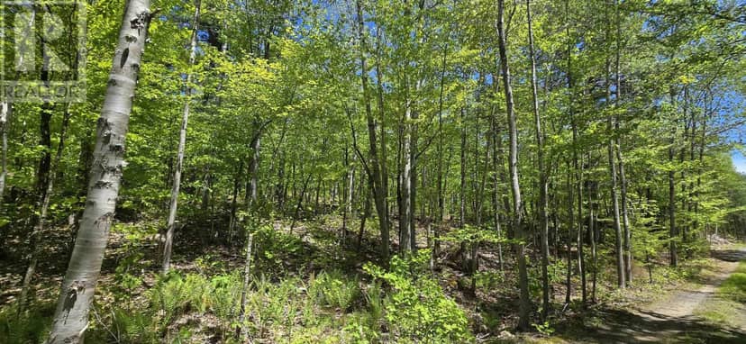 Lot 24-2 East Clifford Road — photo 21 of 31