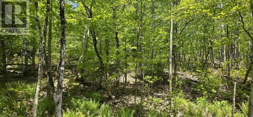 Lot 24-2 East Clifford Road — photo 20 of 31