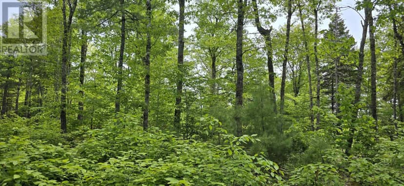 Lot 24-1 East Clifford Road — photo 10 of 30