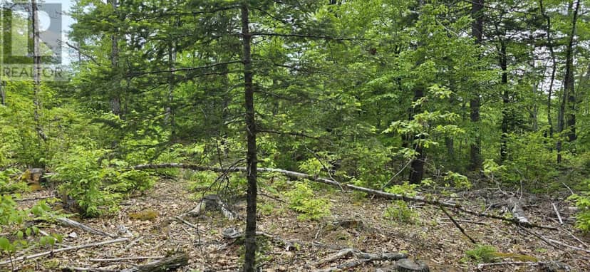Lot 24-1 East Clifford Road — photo 12 of 30