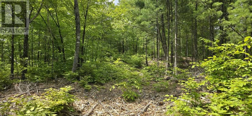 Lot 24-3 East Clifford Road — photo 16 of 38