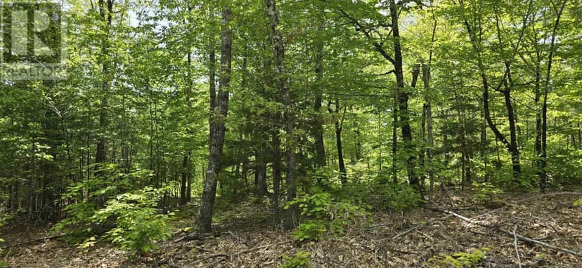 Lot 24-3 East Clifford Road — photo 17 of 38