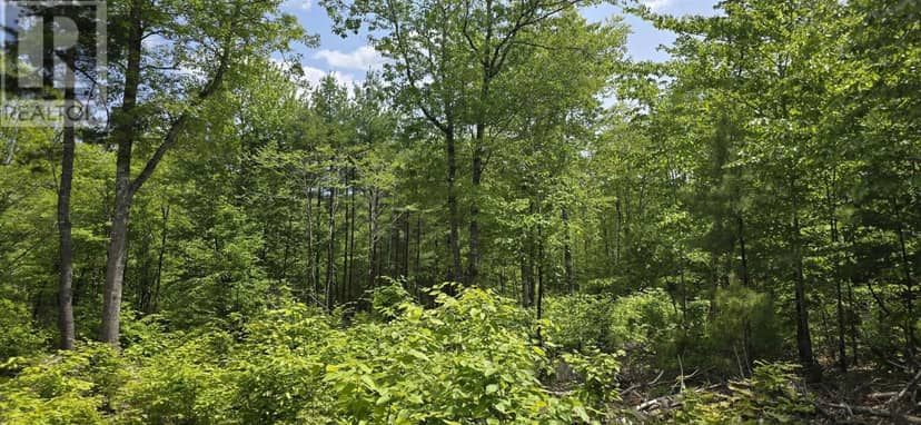 Lot 24-3 East Clifford Road — photo 12 of 38