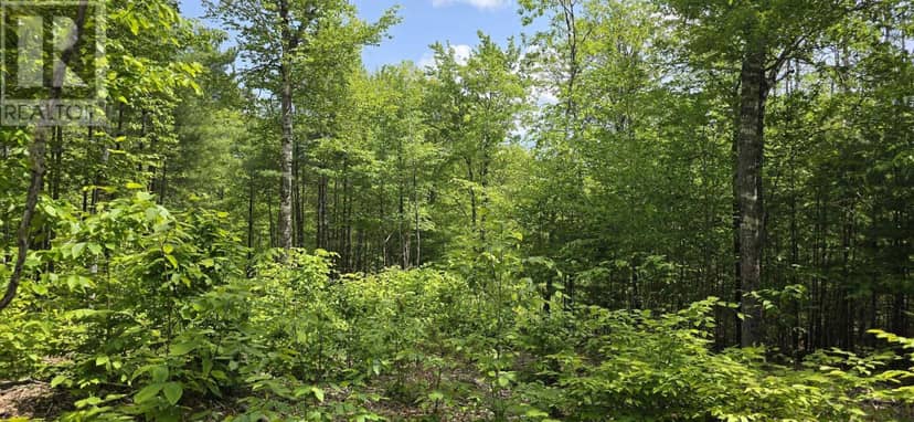 Lot 24-3 East Clifford Road — photo 18 of 38