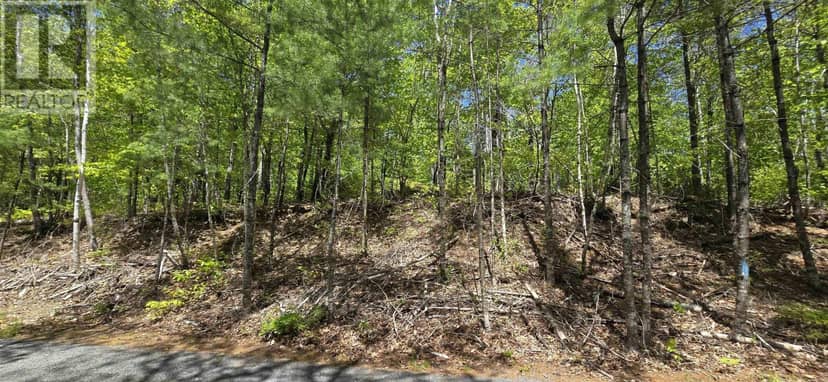 Lot 24-3 East Clifford Road — photo 31 of 38