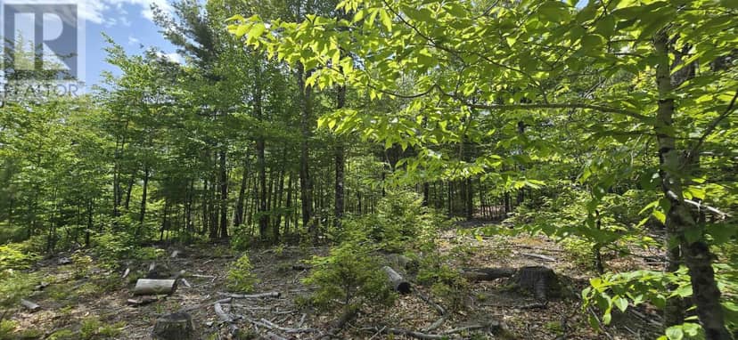 Lot 24-3 East Clifford Road — photo 9 of 38