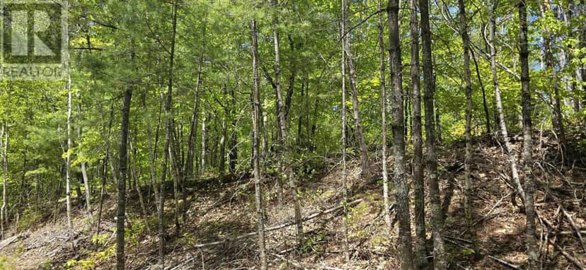 Lot 24-3 East Clifford Road — photo 33 of 38