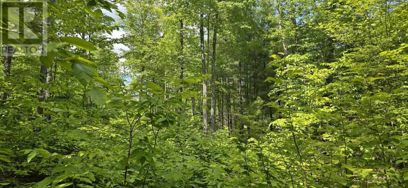 Lot 24-4 East Clifford Road — photo 13 of 33