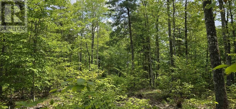 Lot 24-4 East Clifford Road — photo 12 of 33