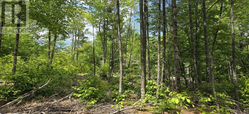 Lot 24-4 East Clifford Road — photo 16 of 33