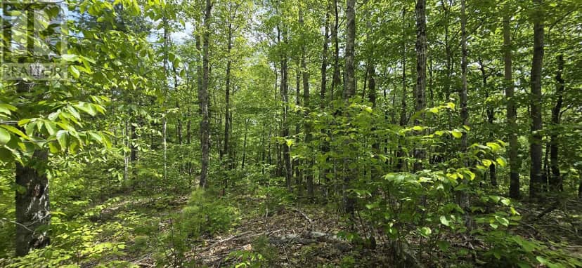 Lot 24-4 East Clifford Road — photo 10 of 33