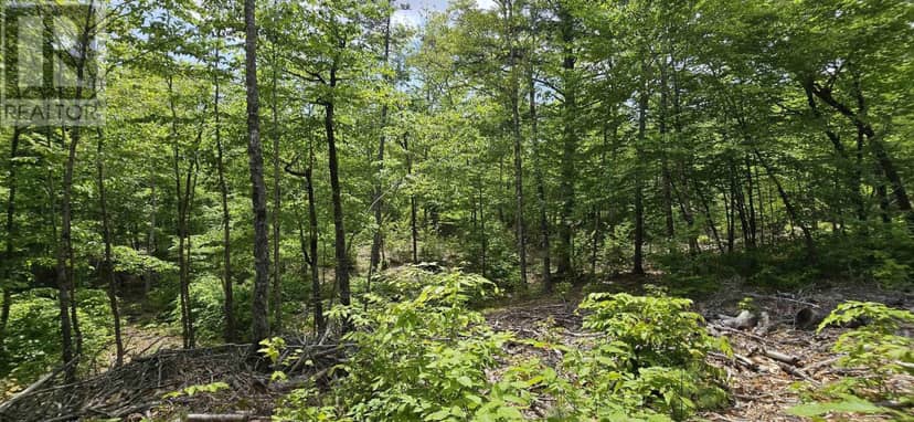 Lot 24-4 East Clifford Road — photo 21 of 33