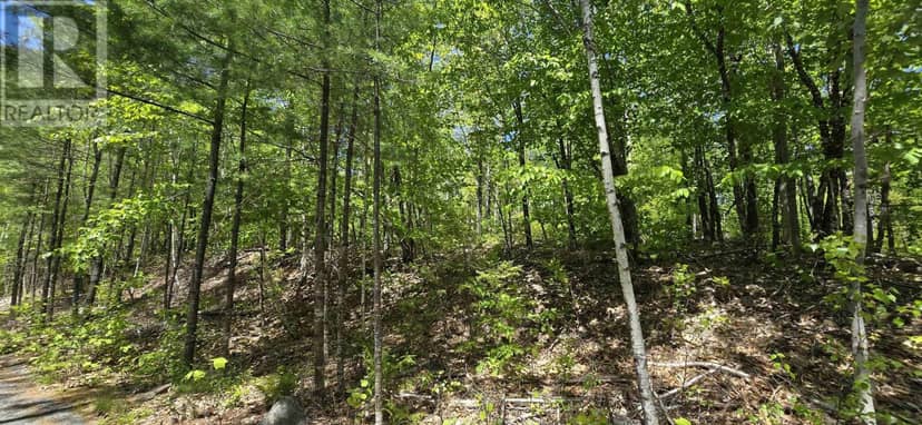 Lot 24-4 East Clifford Road — photo 25 of 33