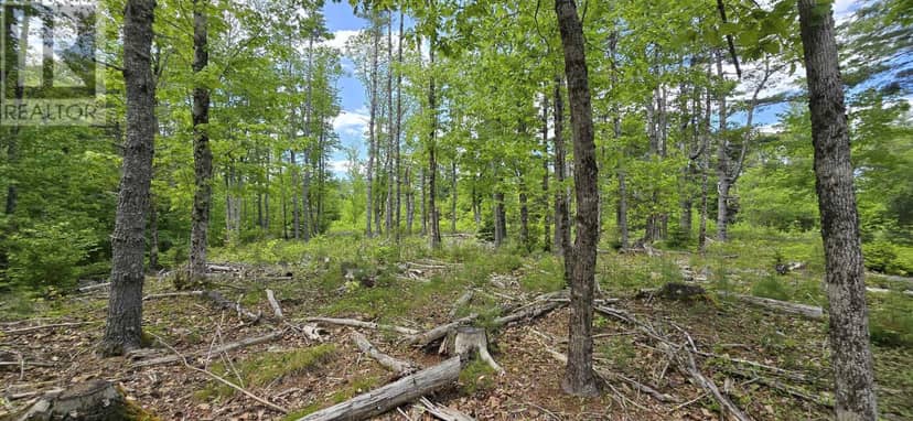 Lot 24-6 East Clifford Road — photo 10 of 25
