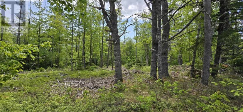 Lot 24-6 East Clifford Road — photo 12 of 25