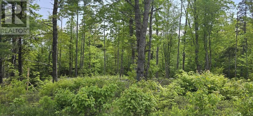 Lot 24-6 East Clifford Road — photo 14 of 25