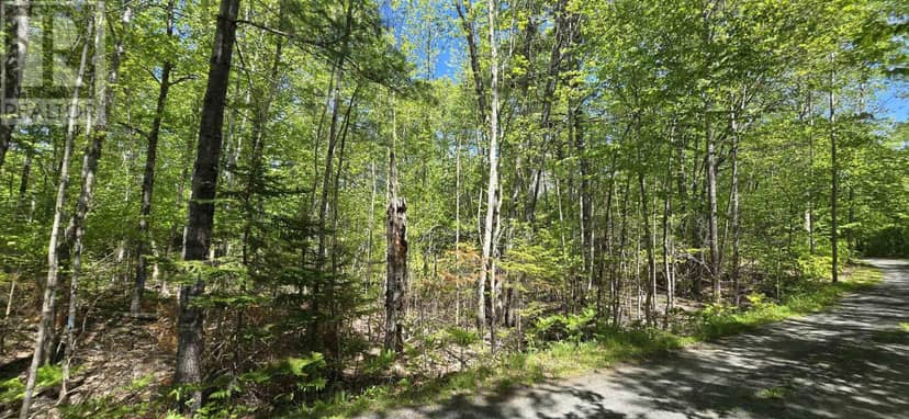 Lot 24-6 East Clifford Road — photo 15 of 25