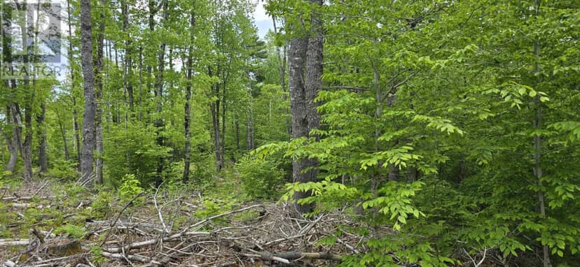 Lot 24-5 East Clifford Road — photo 14 of 31