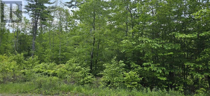 Lot 24-5 East Clifford Road — photo 21 of 31