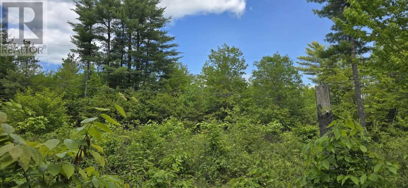 Lot 24-5 East Clifford Road — photo 13 of 31