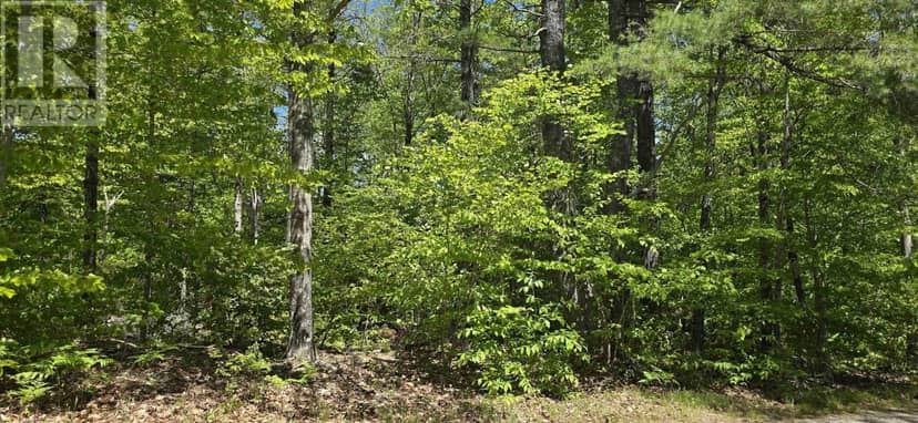 Lot 24-5 East Clifford Road — photo 24 of 31