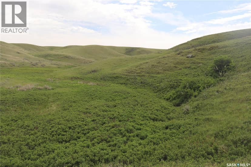 925 Acres Pasture Near Admiral — photo 15 of 26