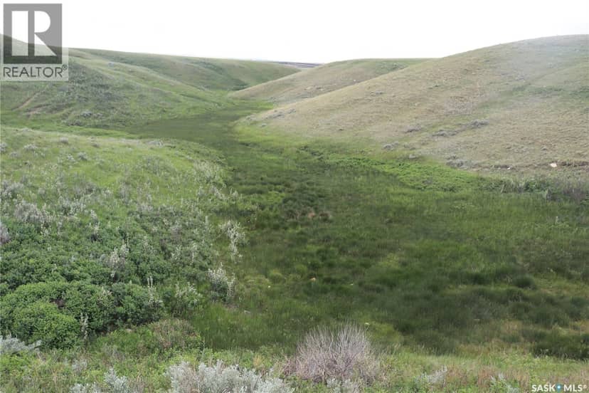 925 Acres Pasture Near Admiral — photo 17 of 26